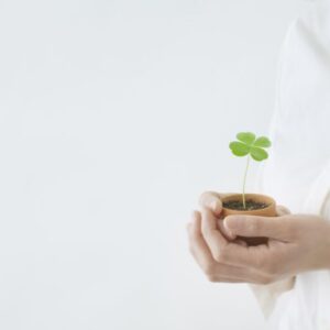 医療脱毛クリニック、どうやって選べばいいの？