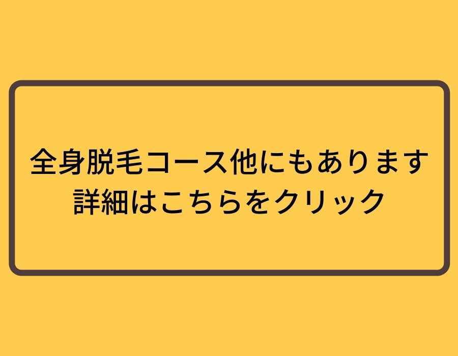 全身脱毛詳細こちら